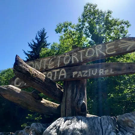 Casale Immerso Nella Natura *