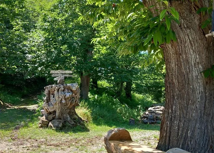 Casale Immerso Nella Natura Casa vacanze Castel dʼAiano