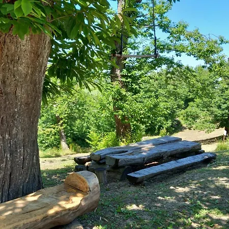 Casale Immerso Nella Natura Castel dʼAiano