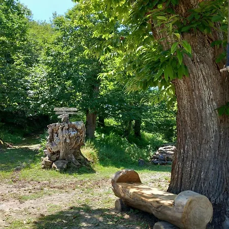 Casale Immerso Nella Natura 度假居 Castel dʼAiano