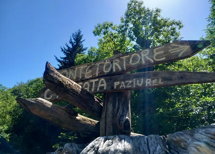 Casale Immerso Nella Natura *