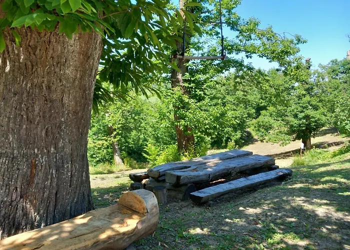 Casale Immerso Nella Natura Castel dʼAiano